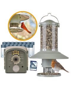 Wingscapes Green Automatic Bird Feeder with Bird Camera Bundle