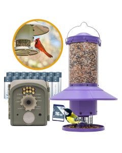 Wingscapes Purple Automatic Bird Feeder with Bird Camera Bundle