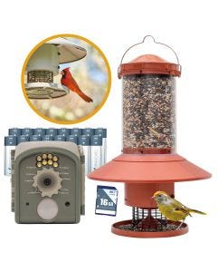 Wingscapes Copper Automatic Bird Feeder with Bird Camera Bundle