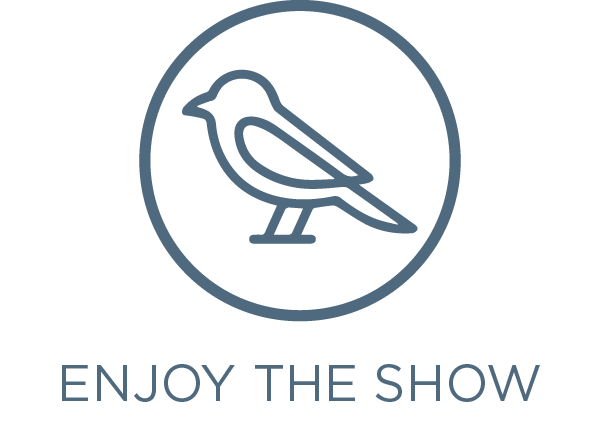 Step 3: Enjoy the show