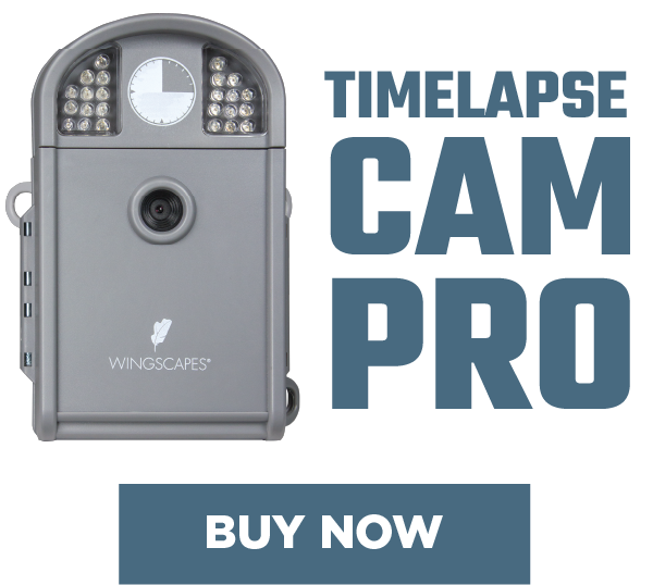 TimelapseCam Pro - Buy Now