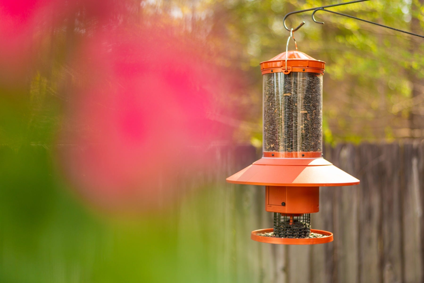 Copper Wingscapes Autofeeder hanging in garden 