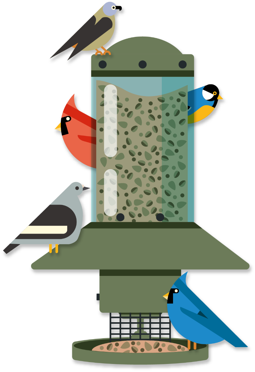 Birdfeeder